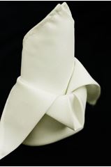 Picture of Napkin 20X20 - Ivory (Poly Square)